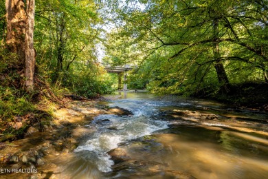 Lake Acreage For Sale in Tellico Plains, Tennessee