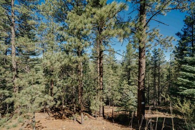 Additional listing photo 3