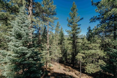 Additional listing photo 4
