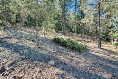 HILLSIDE CANVAS | Lot 9, Snowmass Rd. This hillside, downward- - photo 7