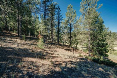 HILLSIDE CANVAS | Lot 9, Snowmass Rd. This hillside, downward- - photo 8