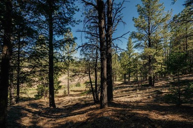 HILLSIDE CANVAS | Lot 9, Snowmass Rd. This hillside, downward- - photo 9