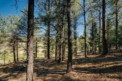 HILLSIDE CANVAS | Lot 9, Snowmass Rd. This hillside, downward- - photo 10