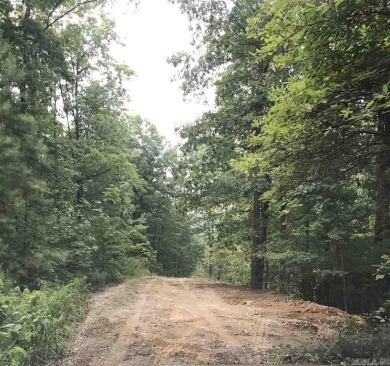 Lake Acreage For Sale in Jessieville, Arkansas