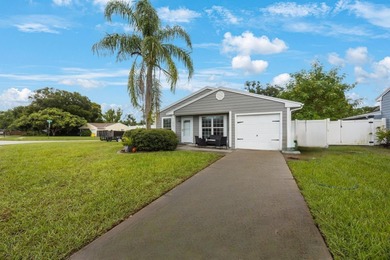(private lake, pond, creek) Home For Sale in Palm Harbor Florida