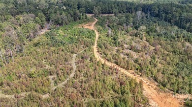 Incredible opportunity to own a little slice of heaven in Oconee - photo 22