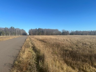 Mud Lake - Florence County Acreage For Sale in Florence Wisconsin