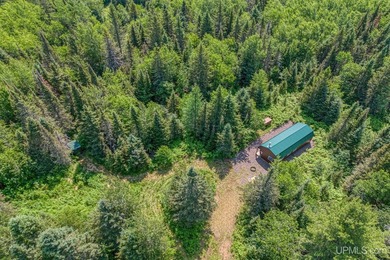 This 120-acre property is situated within the Ottawa National - photo 2