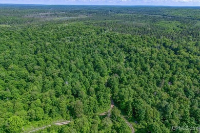 This 120-acre property is situated within the Ottawa National - photo 3