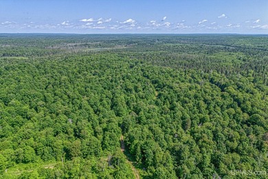 This 240-acre property is located within the Ottawa National - photo 5
