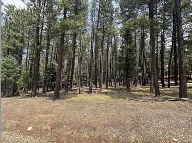 Additional listing photo 3
