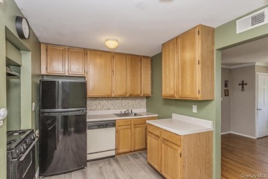 Welcome to 42 Larch Street in Hicksville, a well-maintained cape - photo 9