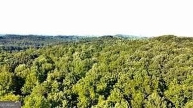 Lake Lanier Acreage For Sale in Dawsonville Georgia
