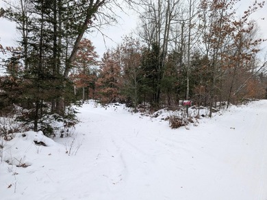 Brazell Lake Lot For Sale in Eagle River Wisconsin