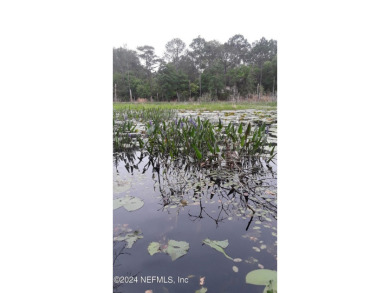 (private lake, pond, creek) Lot For Sale in Keystone Heights Florida