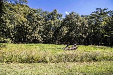 WATERFRONT lot on Caddo (Big Cypress Bayou) in a highly - photo 14