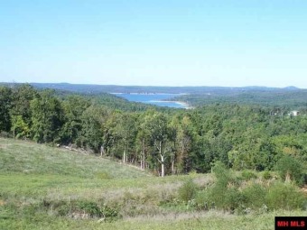 Norfork Lake Lot For Sale in Elizabeth Arkansas