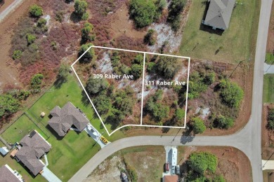 Lehigh Acres Area Lot For Sale in Lehigh Acres Florida