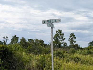 Lake Lot For Sale in Indian Lake Estates, Florida