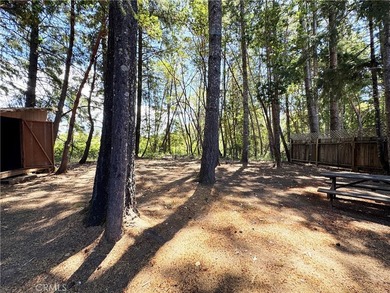 Welcome to 25799 Madrone Drive, a rare opportunity to own two - photo 49
