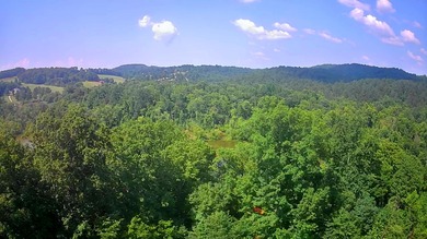 Chickamauga Lake Lot For Sale in Decatur Tennessee