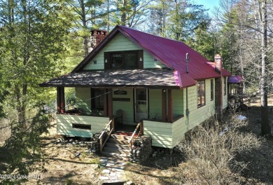 (private lake, pond, creek) Home For Sale in Minerva New York
