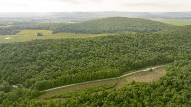 Lake Acreage For Sale in Monticello, Kentucky