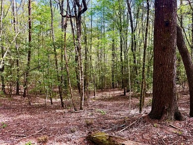Nottley River Acreage For Sale in Murphy North Carolina