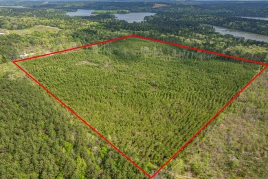 Lake Acreage For Sale in Bismarck, Arkansas