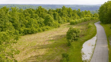 Lake Acreage For Sale in Monticello, Kentucky
