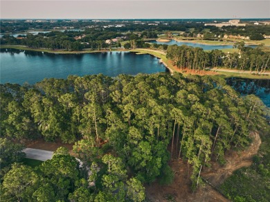 BRING YOUR BUILDER! Approx. 5 ACRE LAKEFRONT BUILDABLE LOT IN - photo 3