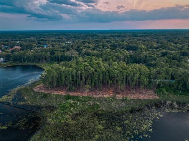BRING YOUR BUILDER! Approx. 5 ACRE LAKEFRONT BUILDABLE LOT IN - photo 4