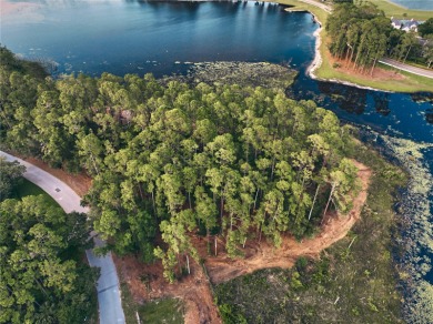 BRING YOUR BUILDER! Approx. 5 ACRE LAKEFRONT BUILDABLE LOT IN - photo 5