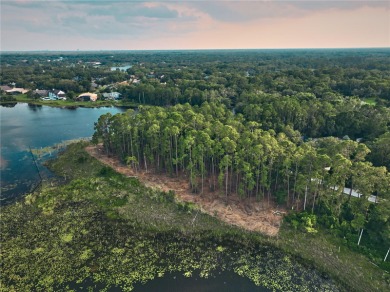 BRING YOUR BUILDER! Approx. 5 ACRE LAKEFRONT BUILDABLE LOT IN - photo 6