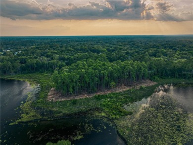 BRING YOUR BUILDER! Approx. 5 ACRE LAKEFRONT BUILDABLE LOT IN - photo 8