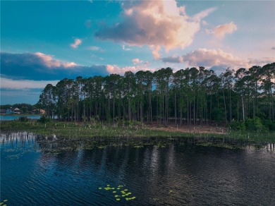 BRING YOUR BUILDER! Approx. 5 ACRE LAKEFRONT BUILDABLE LOT IN - photo 9