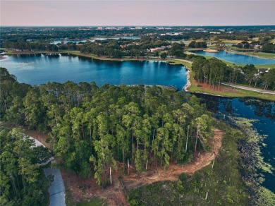 BRING YOUR BUILDER! Approx. 5 ACRE LAKEFRONT BUILDABLE LOT IN - photo 10