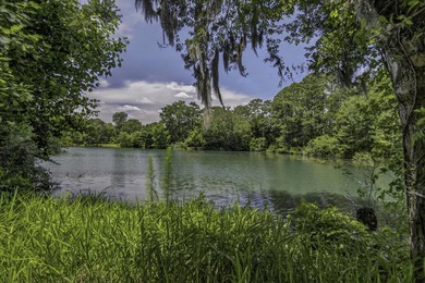 Welcome to this unique opportunity to own a beautifully - photo 1