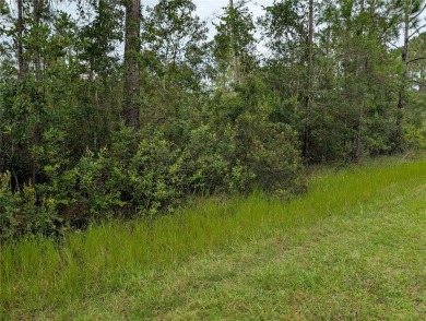 Lake Lot For Sale in Indian Lake Estates, Florida
