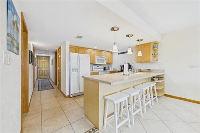 Located just steps from one of Florida's most beautiful Gulf - photo 16