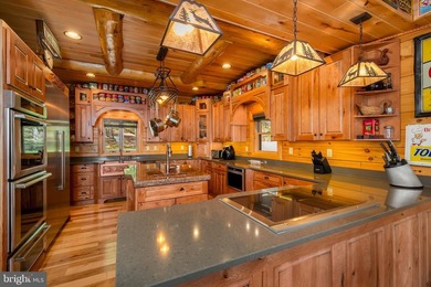 Stunning lakefront log home offering the perfect blend of rustic - photo 17