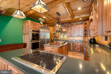 Stunning lakefront log home offering the perfect blend of rustic - photo 18