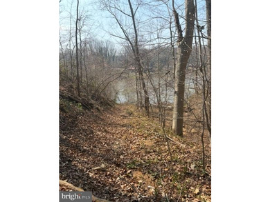RARE opportunity to build your dream home on waterfront lots - photo 8