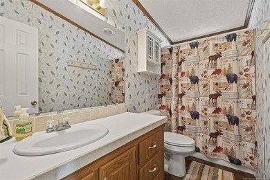 At first glance, this home might seem like it comes with a - photo 41