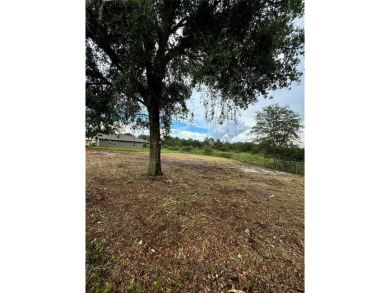 Lake Lot For Sale in Deltona, Florida