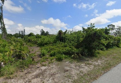 Price Drop! Prime opportunity to own a 0.23-acre residential lot - photo 3