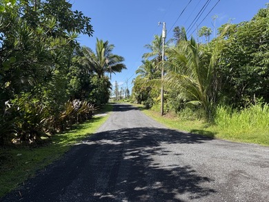 Beautiful corner lot in one of HPP's more desirable streets - photo 12