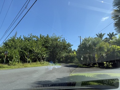 Beautiful corner lot in one of HPP's more desirable streets - photo 13