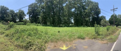 (private lake, pond, creek) Lot For Sale in Belle Rose Louisiana