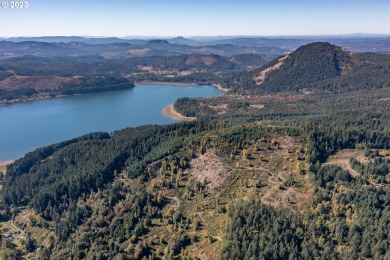 Dorena Reservoir Acreage For Sale in Cottagegrove Oregon